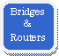 Rounded Rectangle: Bridges&Routers